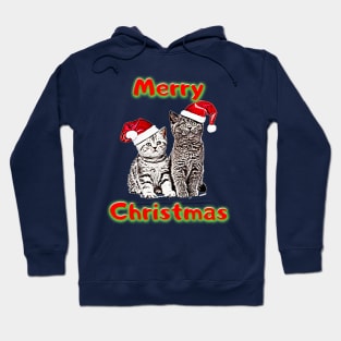 Cats Lovers christmas gift, christmas decorations Hoodie